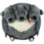 Squishable Cerberus - 15